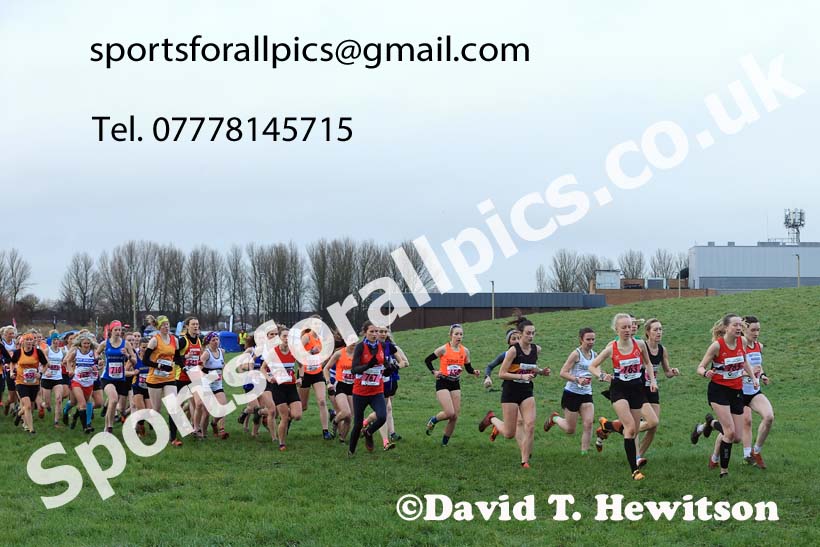 Senior womens 2023 North Eastern Cross Country Champs., Temple Park, South Shields. Photo: David T. Hewitson/Sports for All Pics
